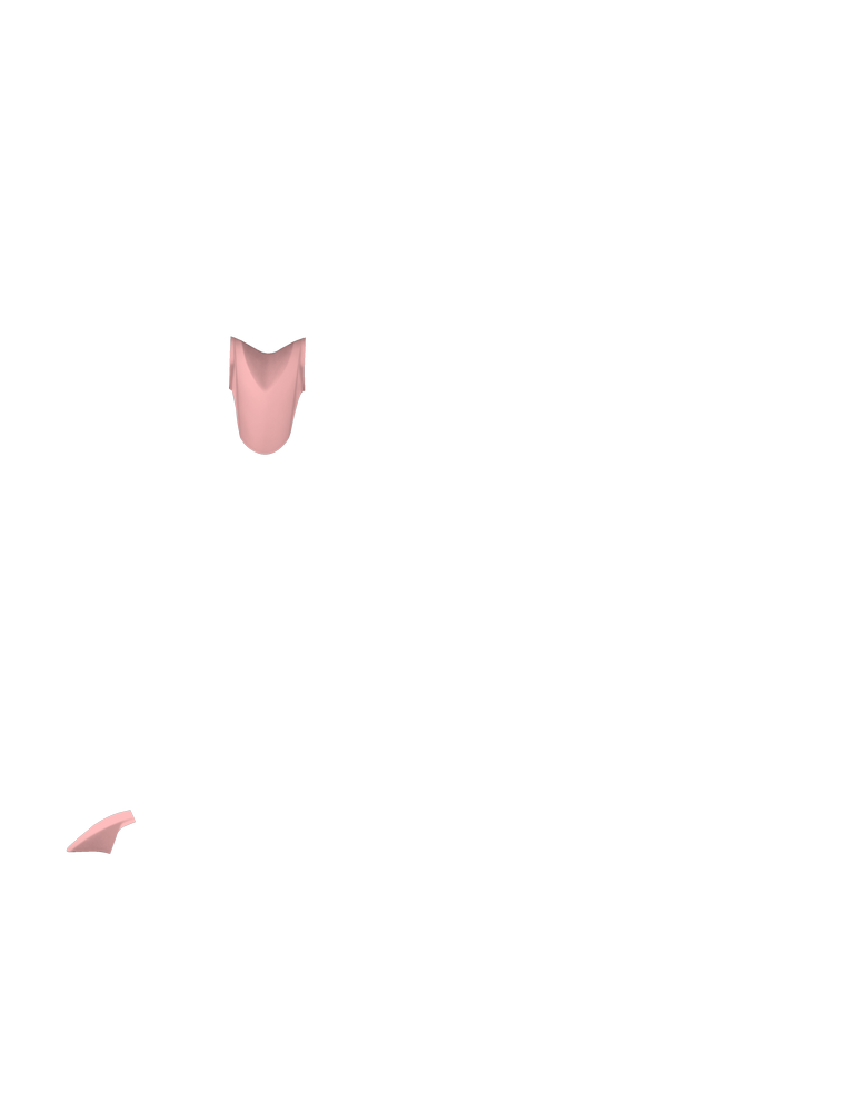 Fender